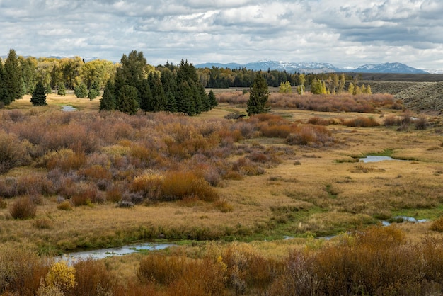 Vista panoramica del Parco Nazionale del Grand Teton