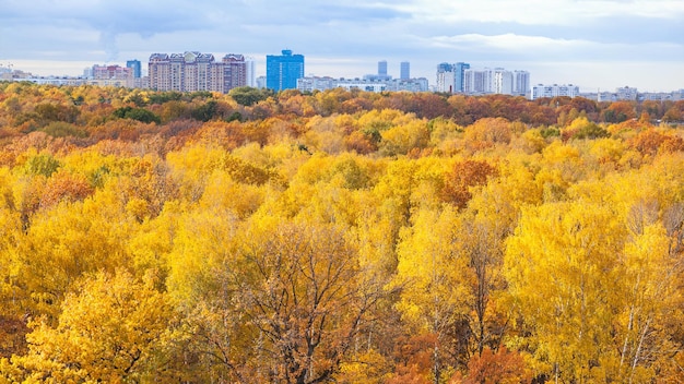 Vista panoramica del parco nella soleggiata mattina autunnale