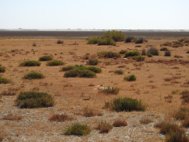 Vista panoramica del Parque nacional de Donana en Huelva Spagna