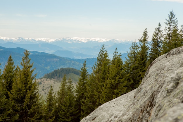 Vista panoramica del pittoresco paesaggio dei Monti Carpazi con pendii forestali, catene montuose e cime. Vacanze in montagna