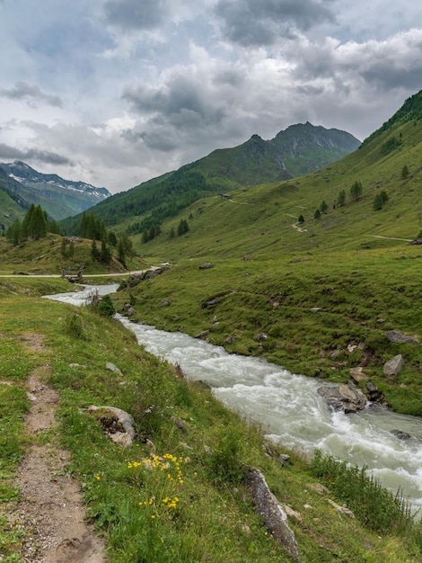 Vista panoramica del ruscello in mezzo a un paesaggio verde contro il cielo