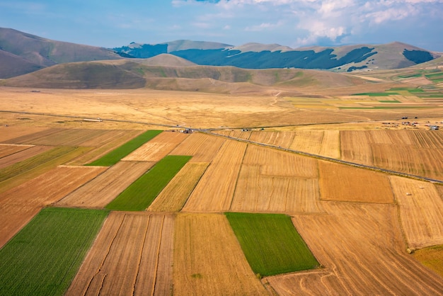 Vista panoramica dell'agricoltura e dei campi agricoli