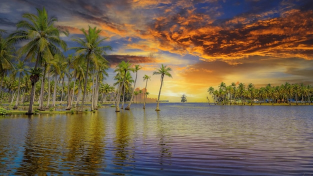 Vista panoramica dell'isola tropicale con palme da cocco e bellissimo cielo al tramonto