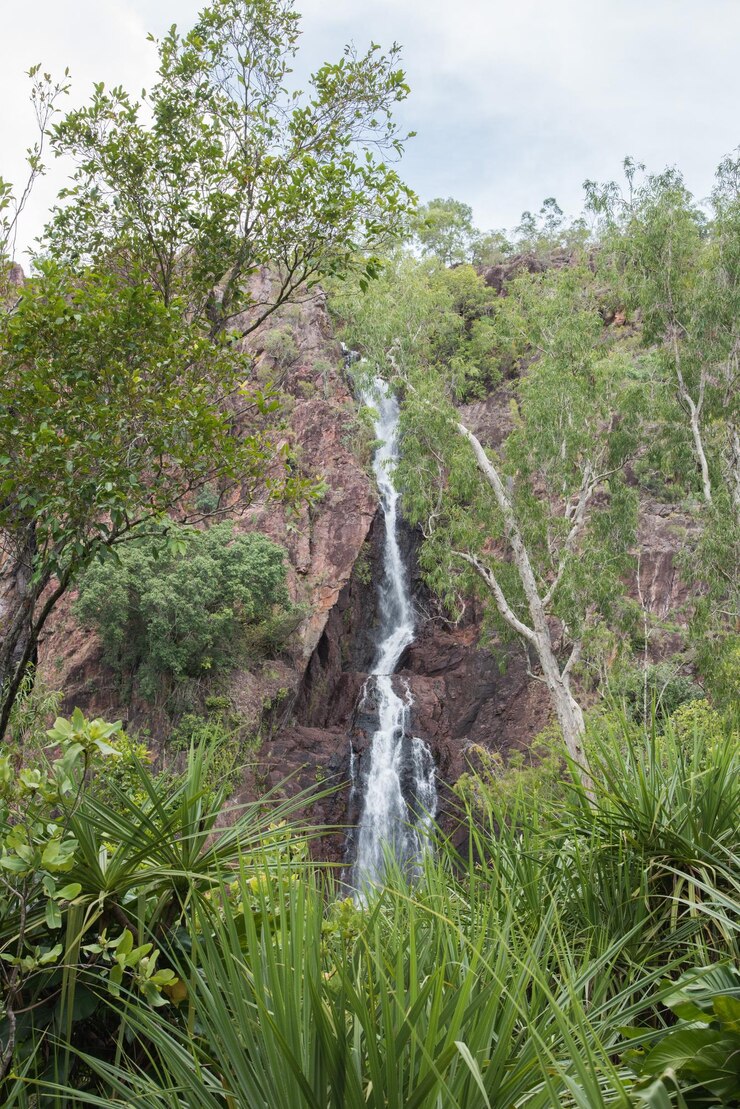 Foto vista panoramica della cascata contro gli alberi della foresta