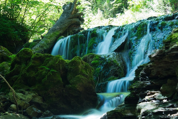 Vista panoramica della cascata sulle rocce ricoperte di muschio nella foresta