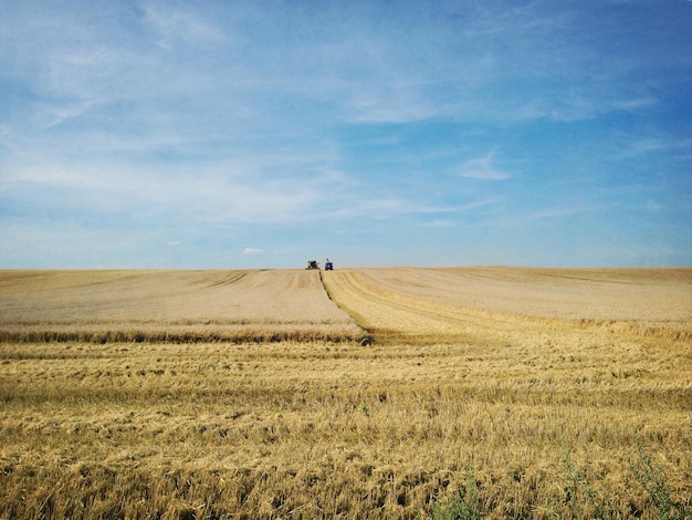 Vista panoramica della fattoria contro il cielo