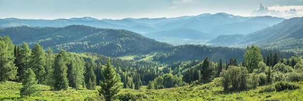 Vista panoramica della giornata di sole nel verde estivo della valle di montagna