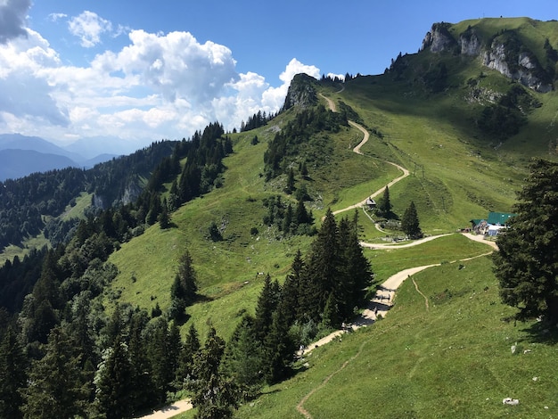 Vista panoramica della montagna verde