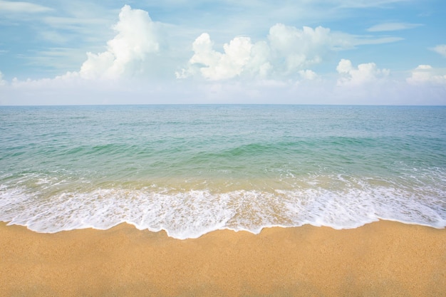 Vista panoramica della natura della bellissima spiaggia tropicale e del mare in una giornata di sole Sfondo vacanze vacanze