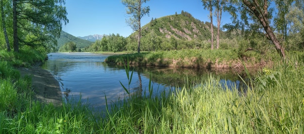 Vista panoramica della natura estiva calma flusso del fiume e alberi verdi Altaix9xA