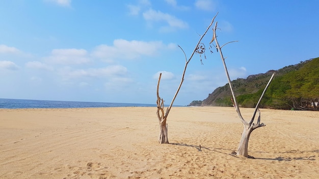 Vista panoramica della spiaggia contro il cielo