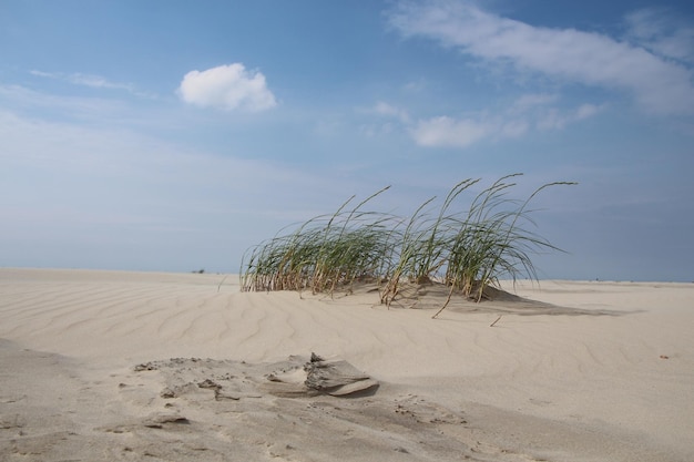 Vista panoramica della spiaggia contro il cielo