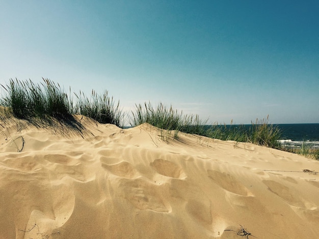 Vista panoramica della spiaggia contro un cielo blu limpido