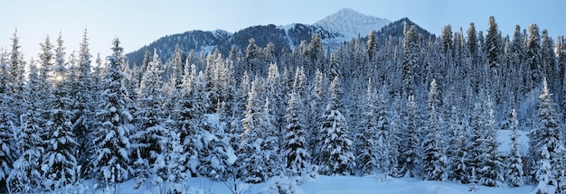 Vista panoramica della taiga di montagna dove sorge il sole