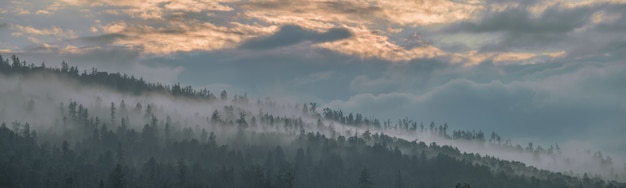 Vista panoramica della taiga di montagna nella nebbia, luce del tramonto