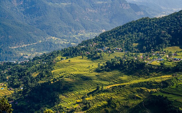 Vista panoramica della terrazza dei terreni agricoli di Paddy a Lamjung, Nepal.