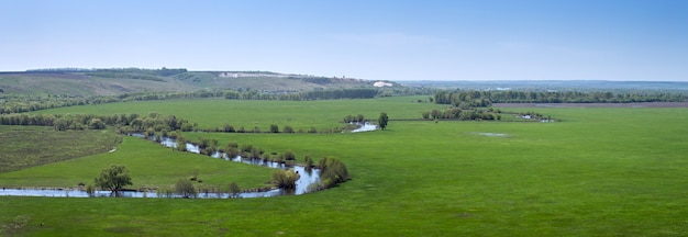 Vista panoramica della valle del fiume nella parte centrale della Russia. Vista dall'alto di un prato primaverile con erba.