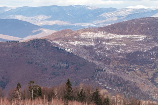 Vista panoramica delle montagne dei Carpazi in Ucraina