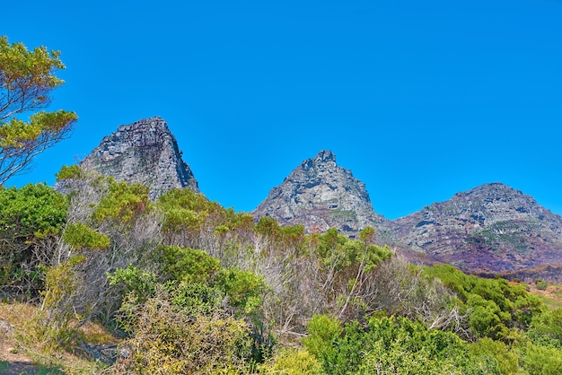 Vista panoramica delle montagne dei Dodici Apostoli a Città del Capo in Sud Africa con un cielo blu e spazio per la copia Ripido e panoramico famoso terreno escursionistico con alberi in crescita, cespugli e arbusti Viaggi e turismo