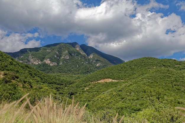 Vista panoramica delle montagne verdi sul cielo nuvoloso