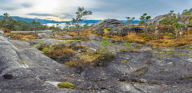 Vista panoramica delle rocce norvegesi e del fiordo distante