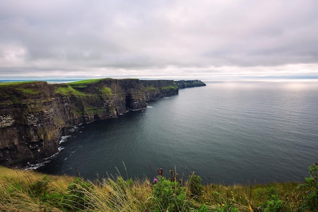 Vista panoramica delle scogliere panoramiche di Moher in Irlanda