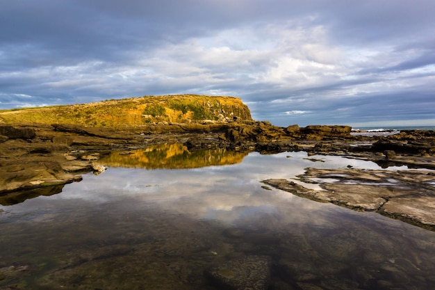 Vista panoramica di Curio Bay nel Southland, vista sulla foresta a The Catlins, Isola del Sud, Nuova Zelanda