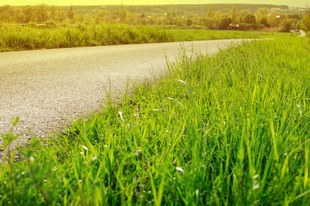 Vista panoramica di erba verde su una pista ciclabile