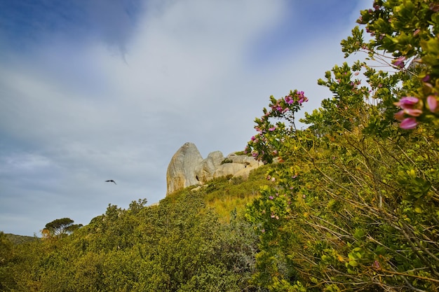 Vista panoramica di Hout Bay a Città del Capo in Sud Africa durante le vacanze e le vacanze estive Rocce panoramiche e paesaggi di alberi freschi e verdi che crescono in una remota area escursionistica Esplorando la natura e la natura selvaggia