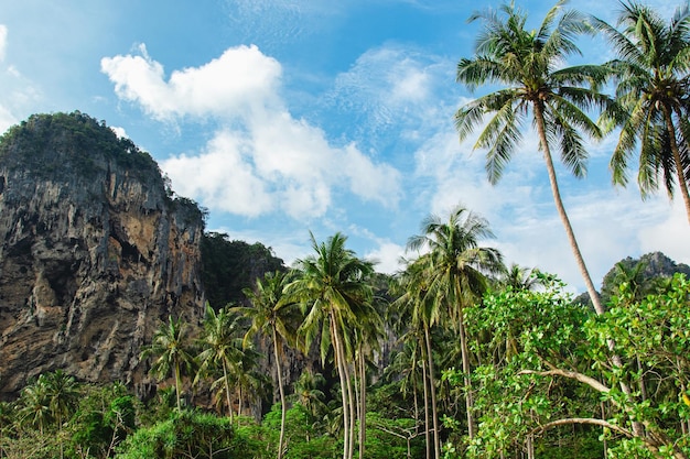 Vista panoramica di palme e scogliere calcaree su una spiaggia in Thailandia