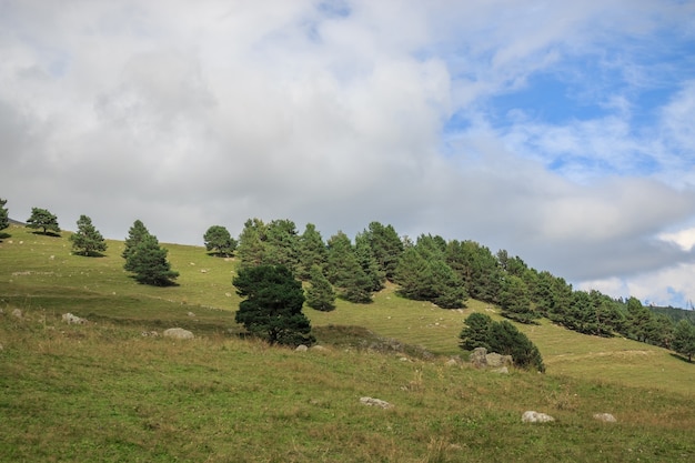 Vista panoramica di scene di foresta e montagne nel parco nazionale Dombay, Caucaso, Russia. Cielo azzurro drammatico e paesaggio soleggiato