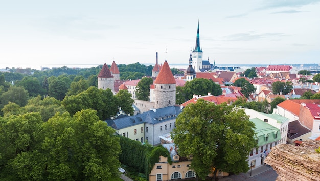 Vista panoramica di Tallinn