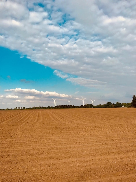 Vista panoramica di un campo agricolo contro il cielo