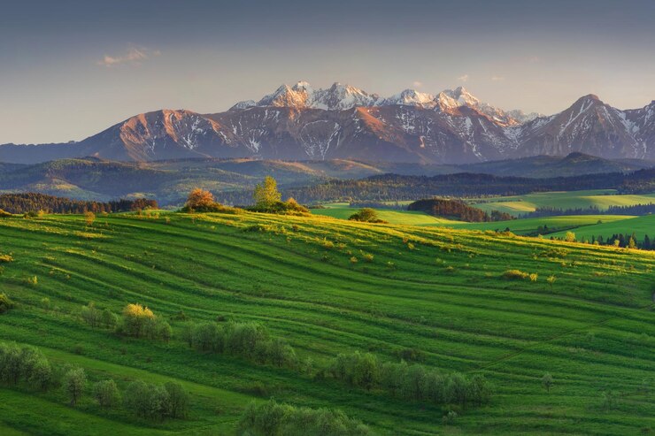 Foto vista panoramica di un campo agricolo contro il cielo