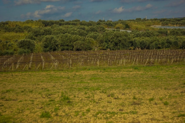 Vista panoramica di un campo agricolo contro il cielo