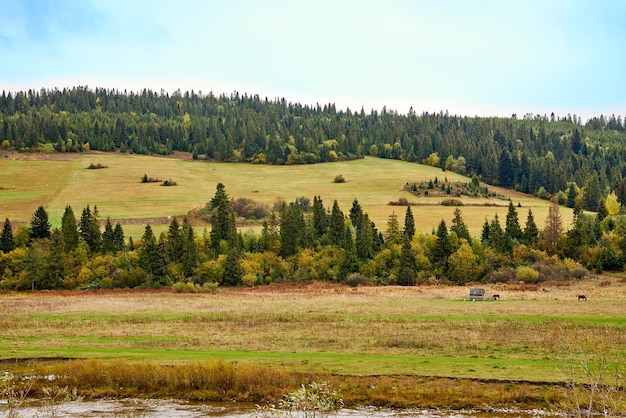 Vista panoramica di un campo agricolo contro il cielo