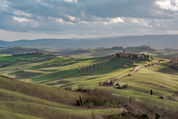 Vista panoramica di un campo agricolo contro il cielo