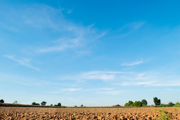 Vista panoramica di un campo agricolo contro il cielo