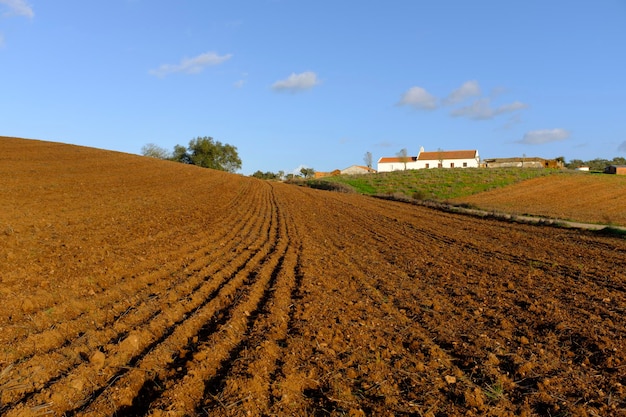 Vista panoramica di un campo agricolo contro il cielo