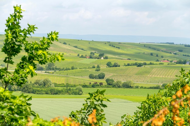 Vista panoramica di un campo agricolo contro il cielo