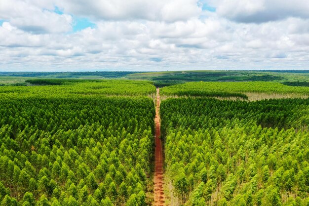 Vista panoramica di un campo agricolo contro il cielo