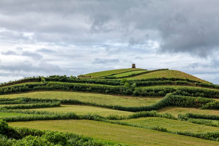 Foto vista panoramica di un campo agricolo contro il cielo