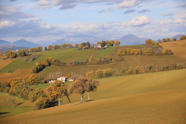 Vista panoramica di un campo agricolo contro il cielo