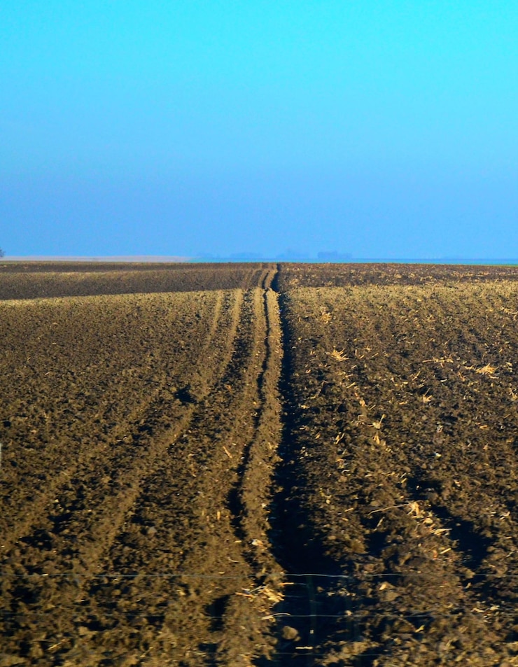 Foto vista panoramica di un campo agricolo contro un cielo blu limpido