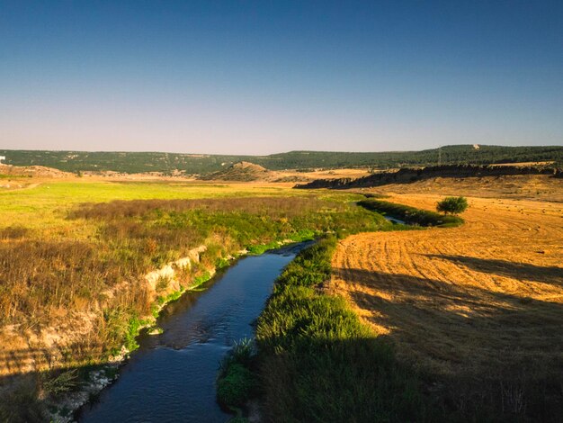 Vista panoramica di un campo agricolo contro un cielo limpido