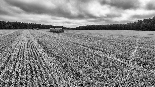 Vista panoramica di un campo agricolo contro un cielo nuvoloso