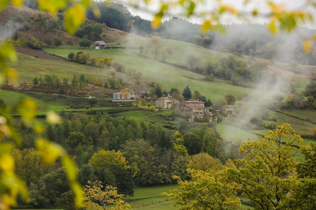 Vista panoramica di un campo agricolo