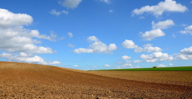 Vista panoramica di un campo arato contro il cielo