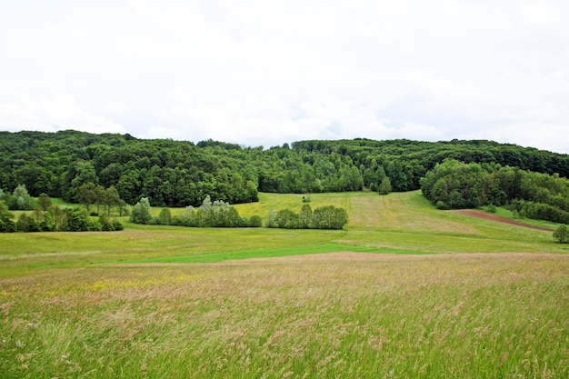 Vista panoramica di un campo erboso contro il cielo