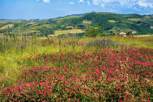 Vista panoramica di un campo erboso contro il cielo